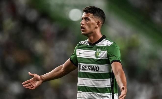 整不仅包括 整不仅包括