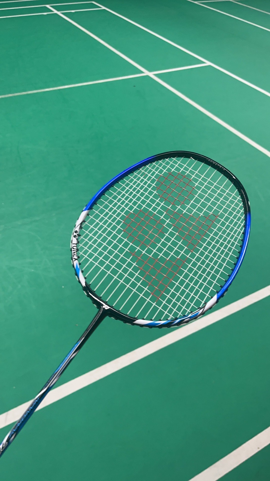 他们在主场 他们在主场