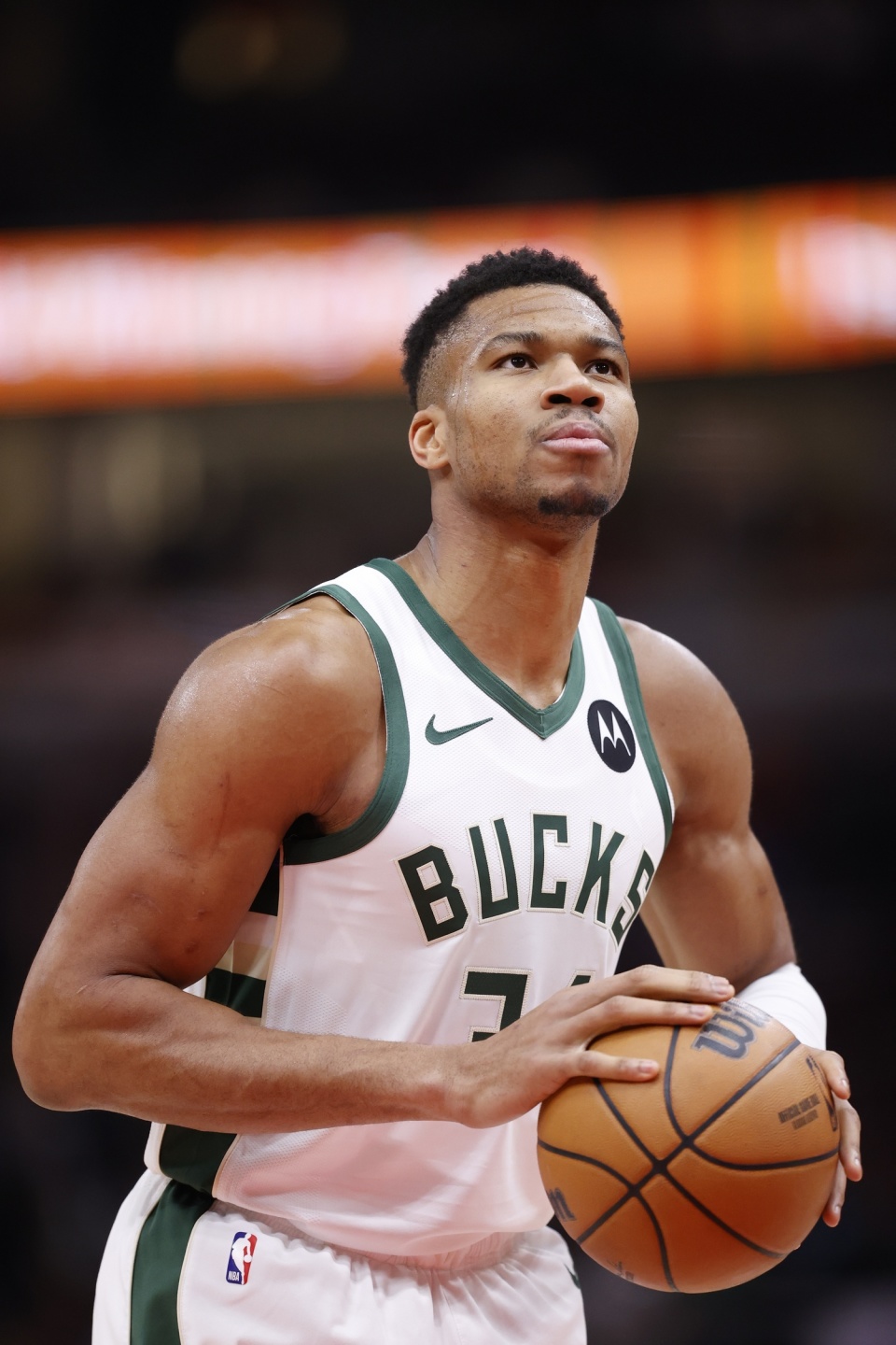 容创作者 容创作者